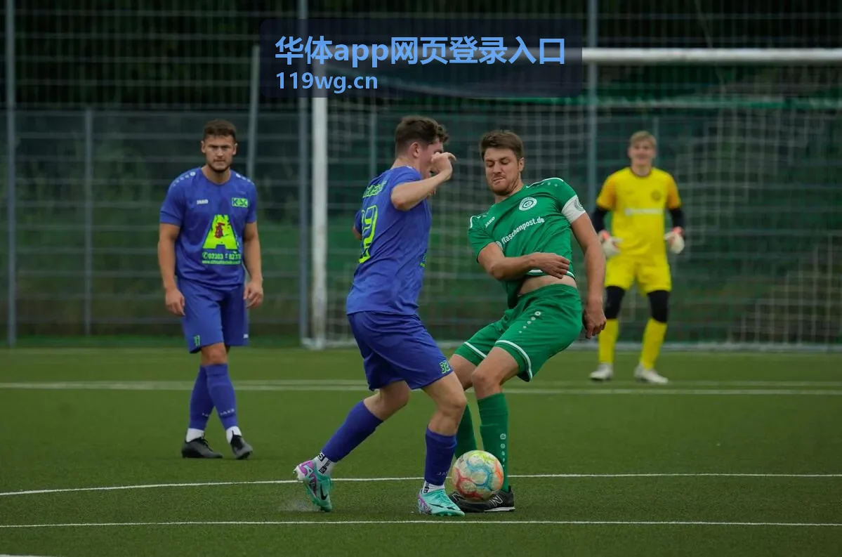 华体app网页登录入口会员内容预览-多端同步